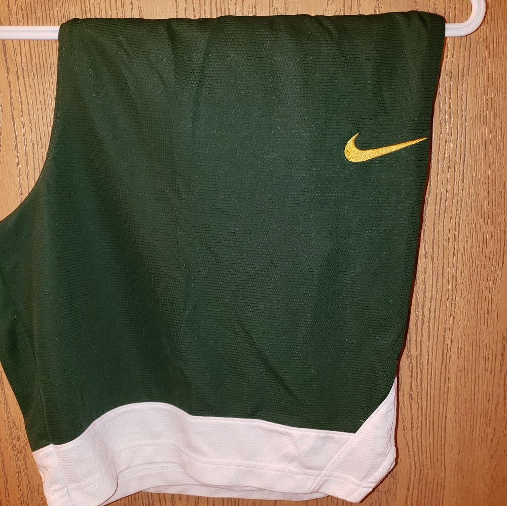 Nike Sport Shorts
